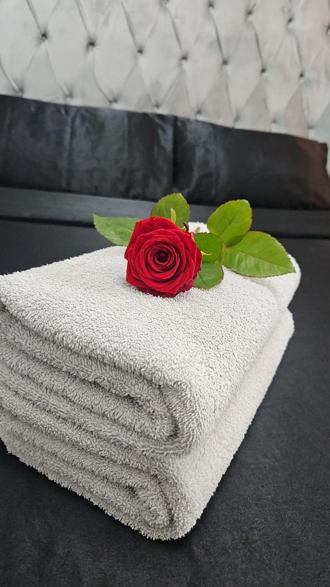 טולוז Suite Jacuzzi "Spa Privatif " Appartement Jacuzzi מראה חיצוני תמונה