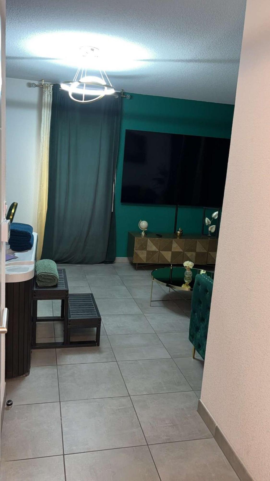 טולוז Suite Jacuzzi "Spa Privatif " Appartement Jacuzzi מראה חיצוני תמונה