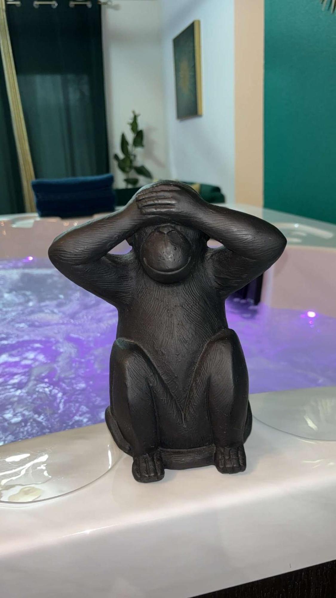 טולוז Suite Jacuzzi "Spa Privatif " Appartement Jacuzzi מראה חיצוני תמונה